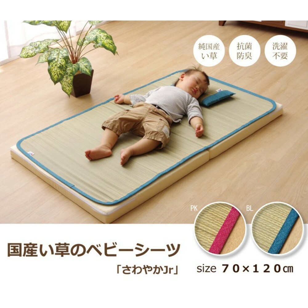 日本製兒童午睡枕 IKEHIKO 九州藺草 兒童 抗菌 涼枕 吸汗 異味清除 午休 學校