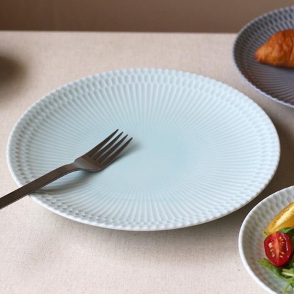 【現貨】日本製 美濃燒 陶瓷餐盤 盤子 質感餐盤 淺盤 麵盤 咖哩盤 廚房餐具 ins風 三色可選 陶器