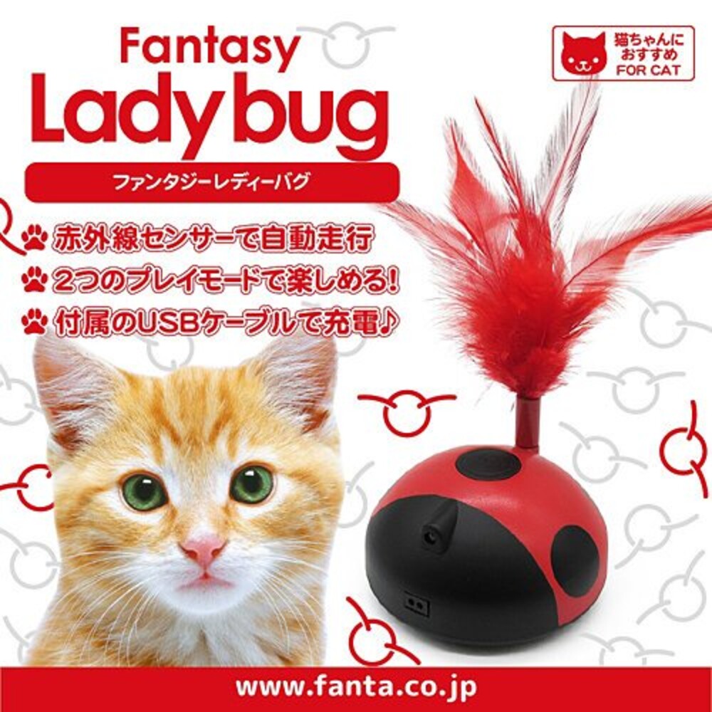 SF-015250-【現貨】瓢蟲逗貓玩具 USB充電 360度旋轉 移動式 逗貓棒 貓咪玩具 動物羽毛 訓練用品