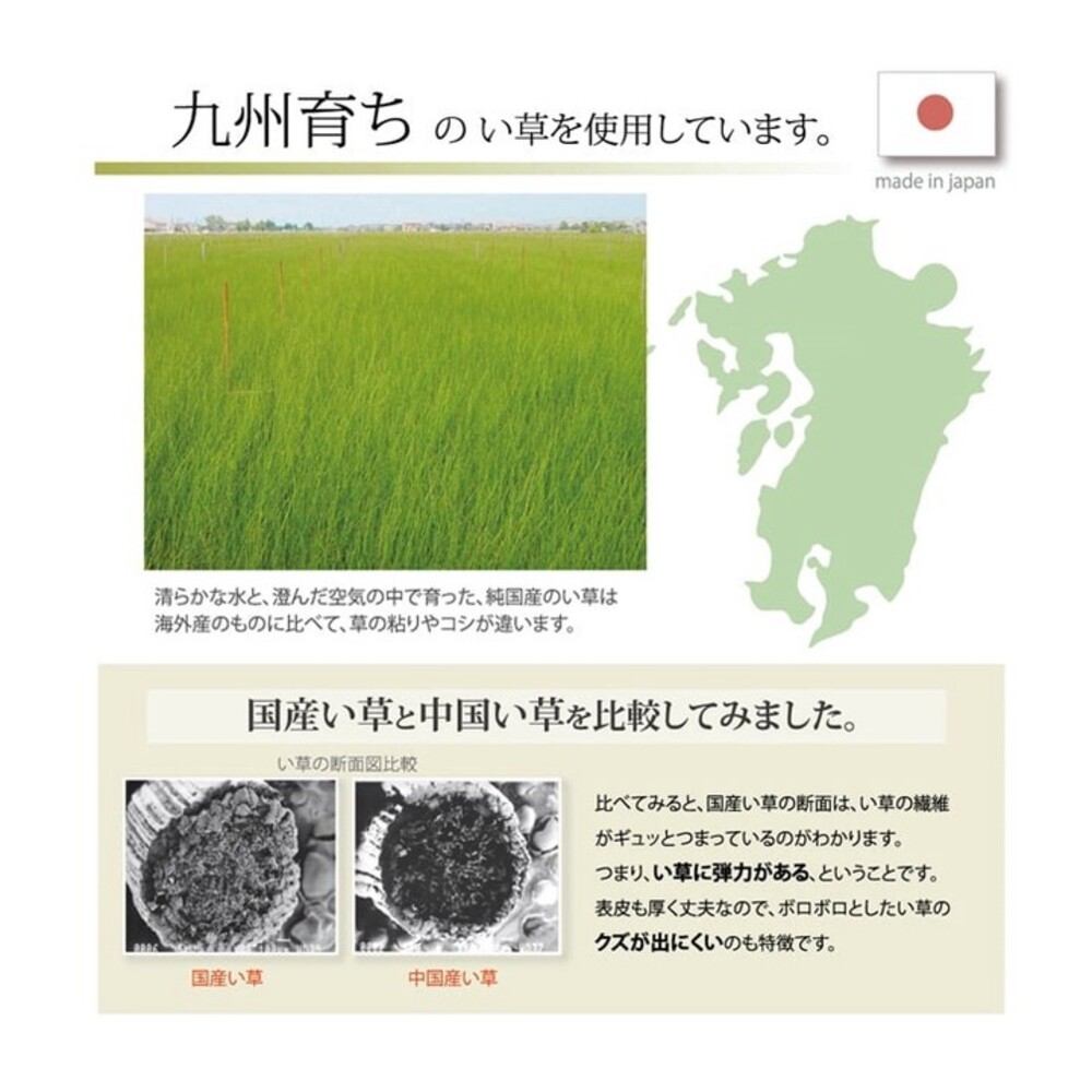 日本製 蘭草草蓆 88x180cm 熊本燈芯草 涼蓆 睡墊  排汗墊 單人床墊 除臭 降溫墊