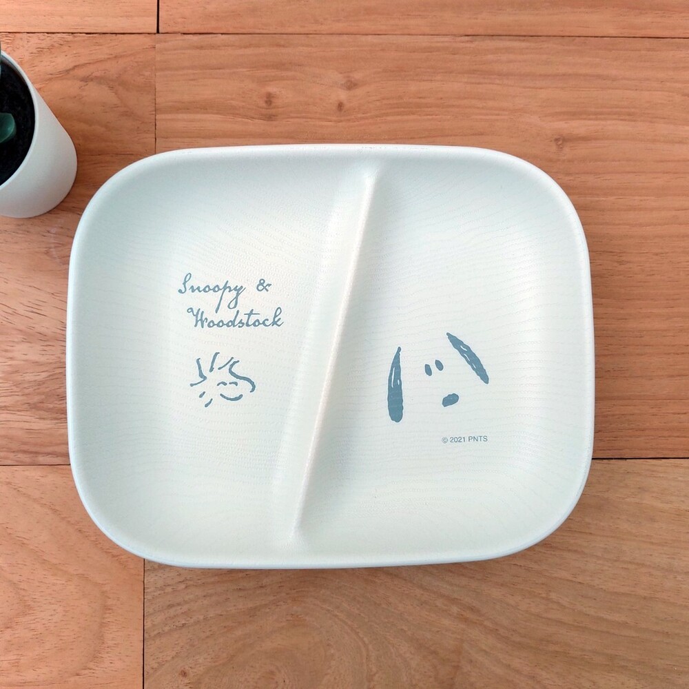 日本製 snoopy 史奴比露營餐盤 分隔盤 圓盤 盤 野餐 早午餐 迪士尼 廚房 質感餐具