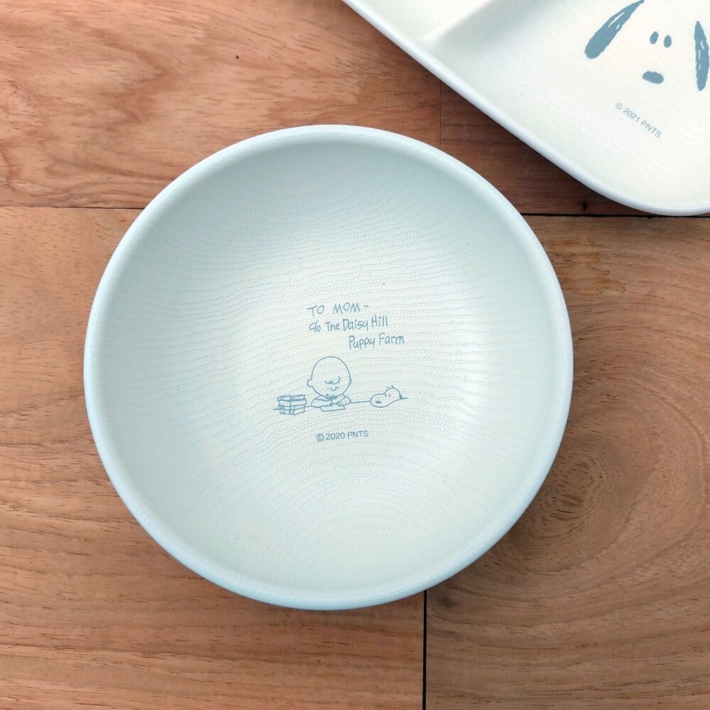 【現貨】日本製 snoopy 史奴比露營餐盤 分隔盤 圓盤 盤 野餐 早午餐 迪士尼 廚房 質感餐具