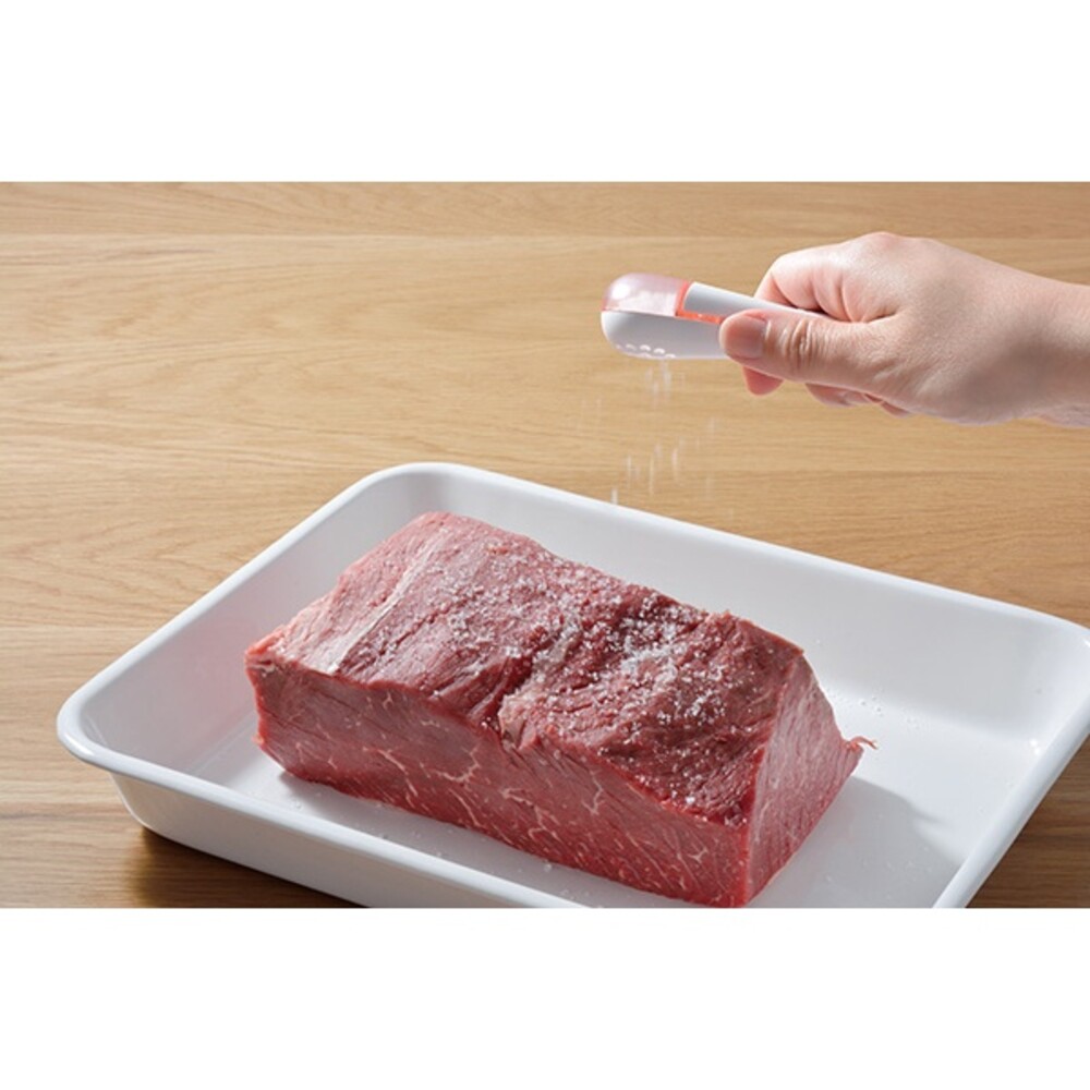 【現貨】日本製 LEYE灑鹽匙 不沾手 計量 撒鹽器 調味料湯匙 均勻量匙 篩鹽器 減鹽 定量撒鹽勺
