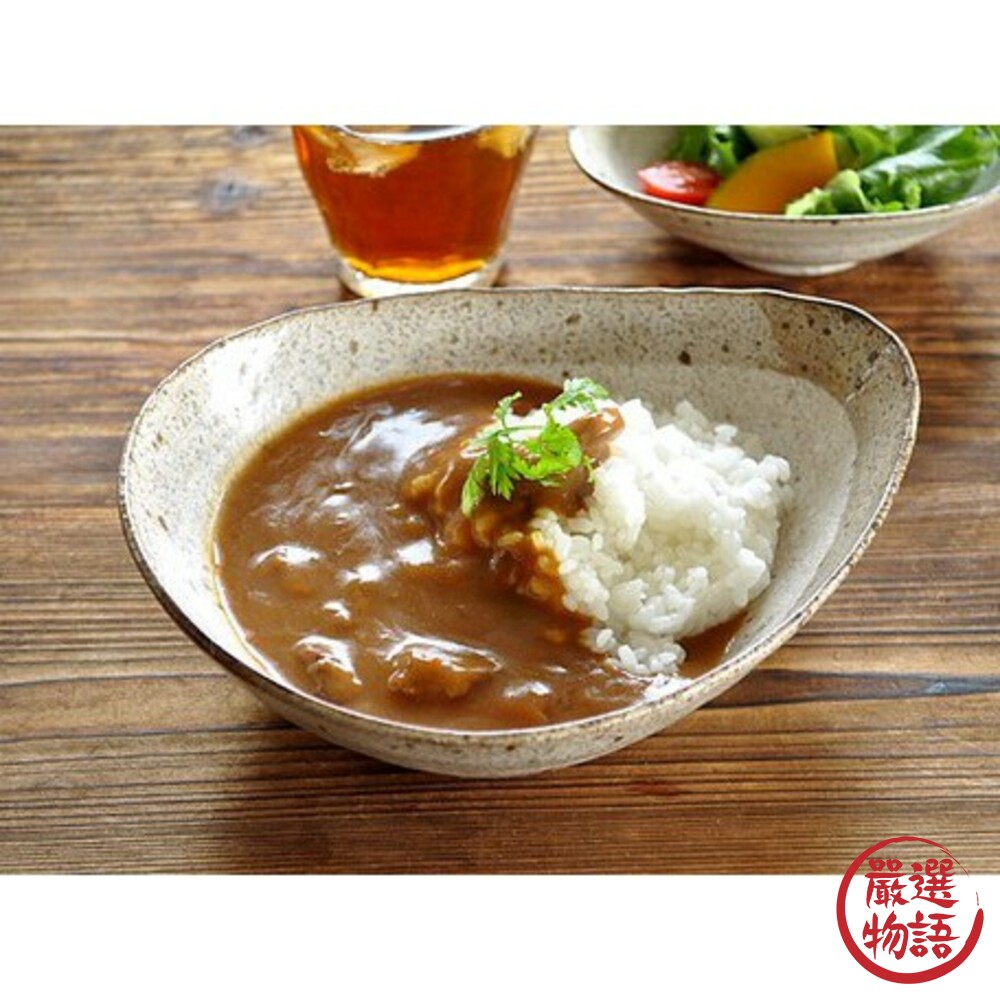 SF-015939-日本製美濃燒 水滴形狀造型餐盤 陶瓷 咖哩飯 義大利麵 沙拉盤 菜盤 日式餐盤 西式餐盤  餐盤
