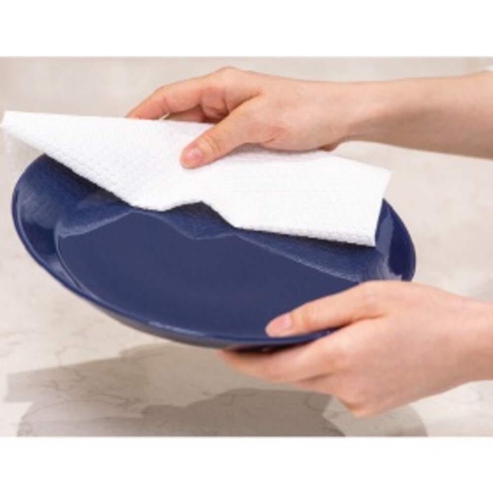 【現貨】日本製 史努比廚房紙巾 SCOTTIE 可重複使用 廚房紙巾 史奴比 餐巾紙 擦拭布 餐具布