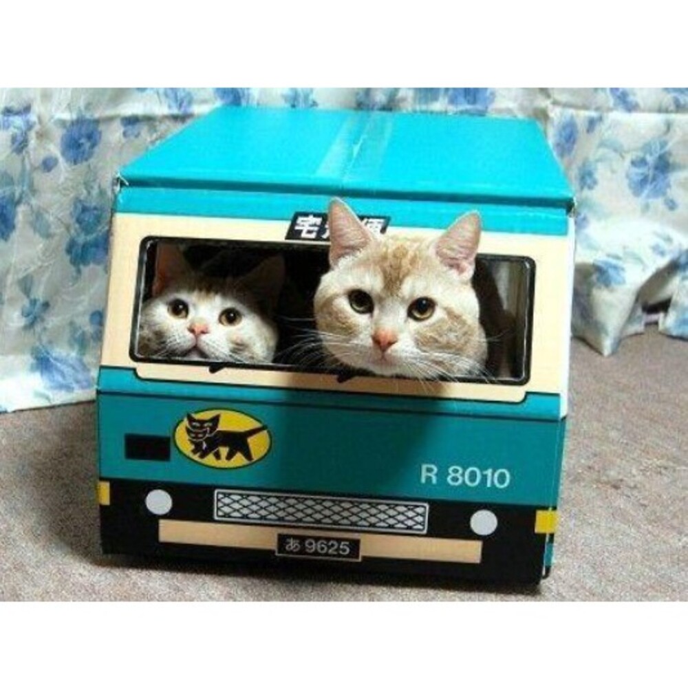 【現貨】黑貓宅急便 紙箱 貨車 寵物房 造型紙箱 DIY 貓房子 寵物房子 貓奴 寵物 卡車紙箱