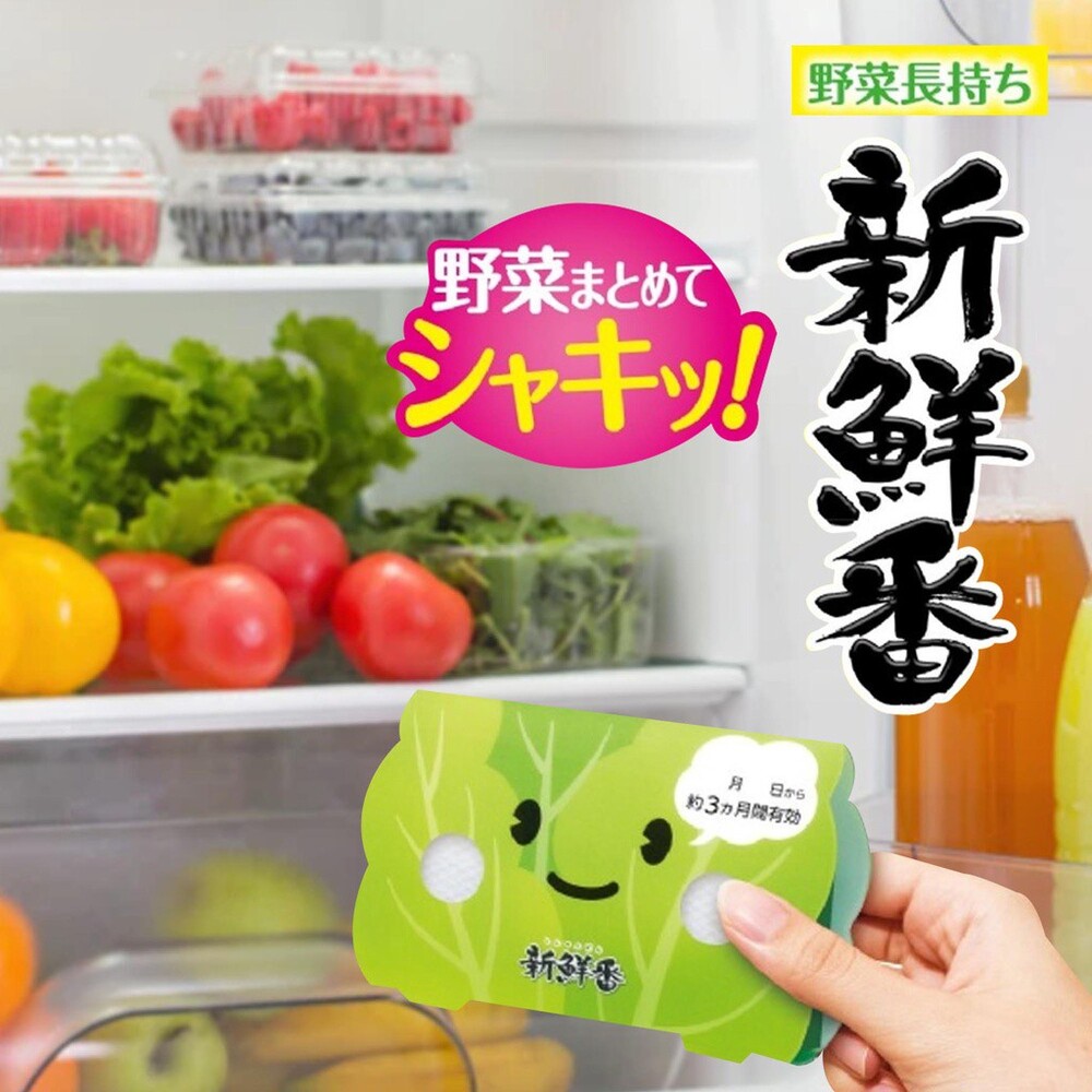 蔬果保鮮劑 冰箱冷藏 保鮮 脫臭 去味 延長新鮮 蔬菜室專用 冷藏 保鮮袋 蔬菜