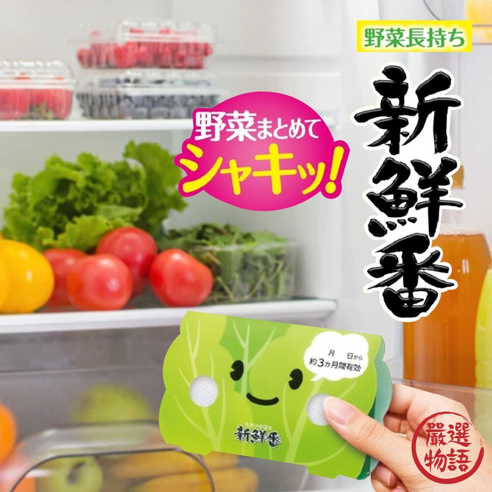 蔬果保鮮劑 冰箱冷藏 保鮮 脫臭 去味 延長新鮮 蔬菜室專用 冷藏 保鮮袋 蔬菜-圖片-1