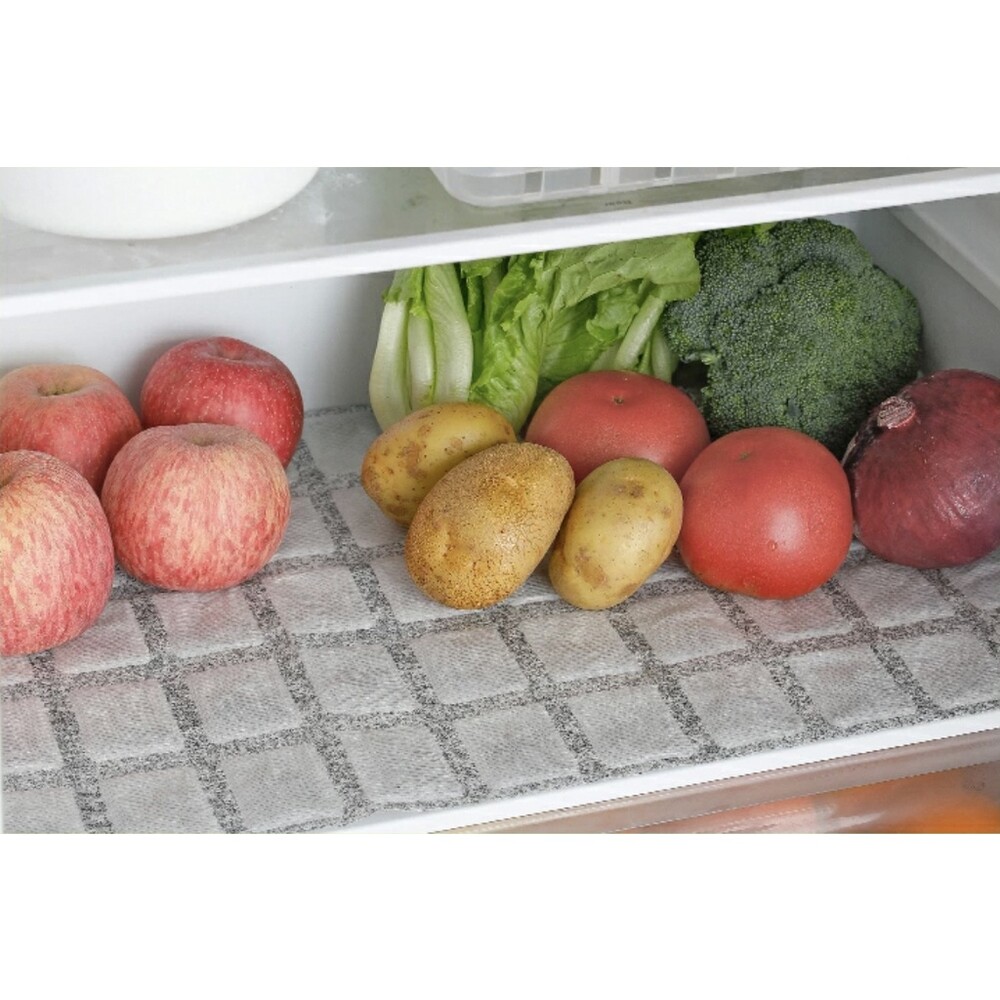 日本製 冰箱保鮮片Ag+ 保鮮片 除臭片 蔬菜保鮮片 蔬果除臭 活性碳 生鮮除臭 圖片