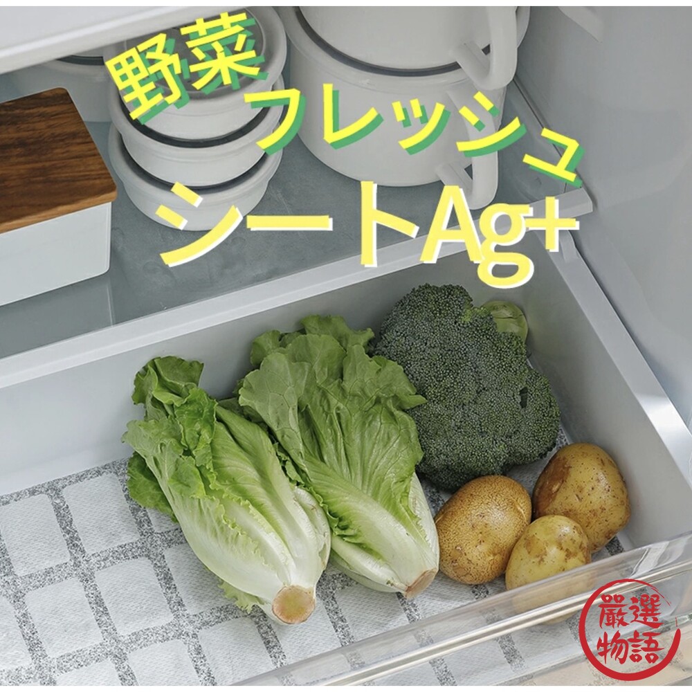 日本製 冰箱保鮮片Ag+ 保鮮片 除臭片 蔬菜保鮮片 蔬果除臭 活性碳 生鮮除臭-thumb