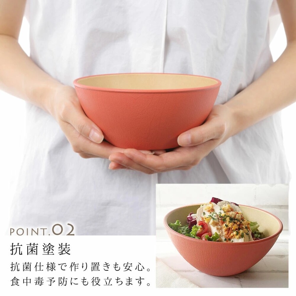 日本製 大地色餐碗 飯碗 輕量碗 木質碗 抗菌碗 耐摔 露營碗 沙拉碗 EARTH COLOR
