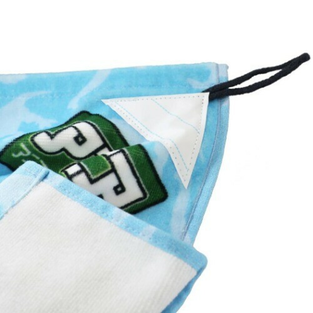 日本製 多美侏儸紀毛巾 兒童毛巾 卡通毛巾 恐龍方巾 造型毛巾 擦手巾 手帕 抹布 隨身毛巾 運動 圖片