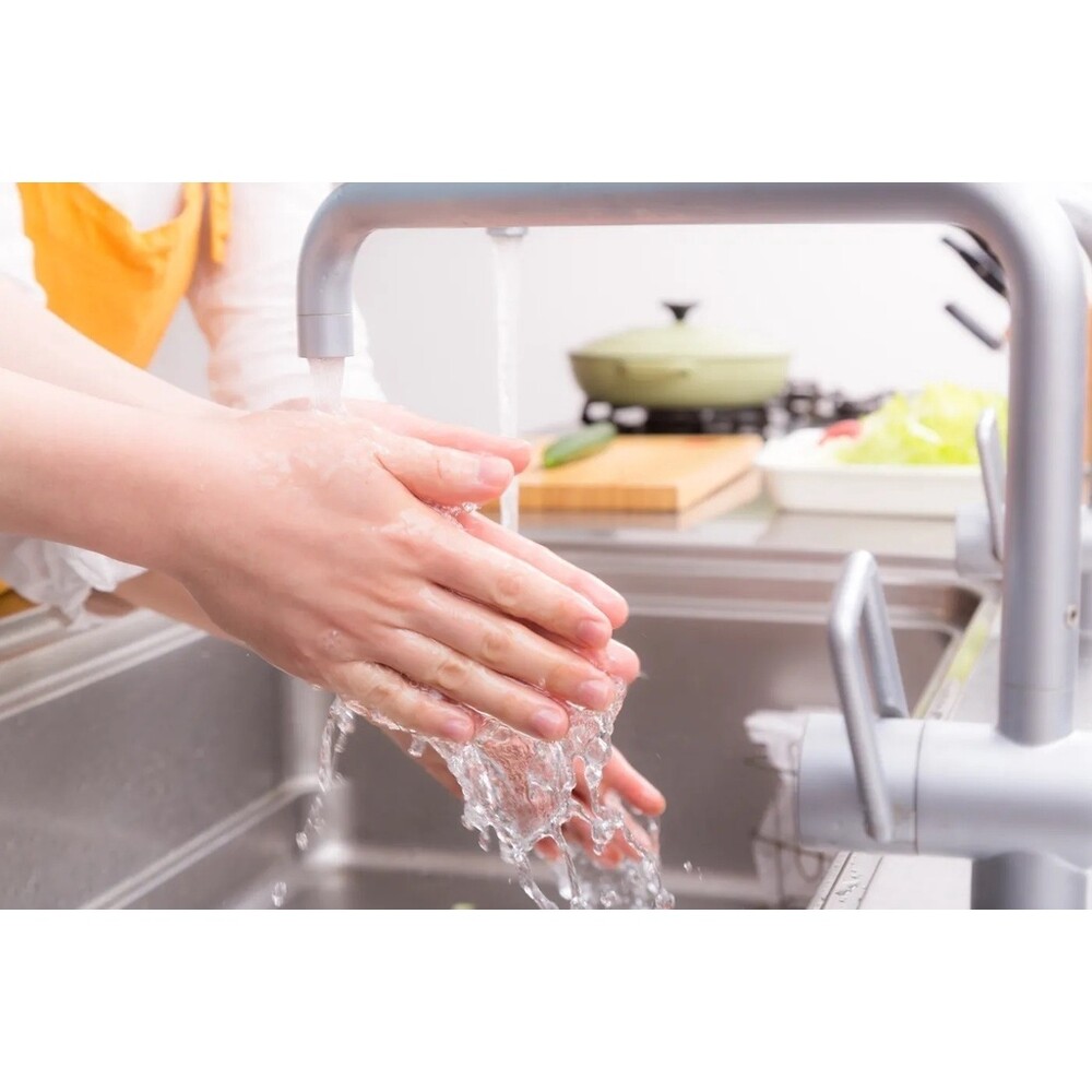 【現貨】奈米銀冷壓 Biodelis 檸檬精油洗潔精｜洗食器 洗碗精 洗蔬果 去污去油 清潔環境 圖片