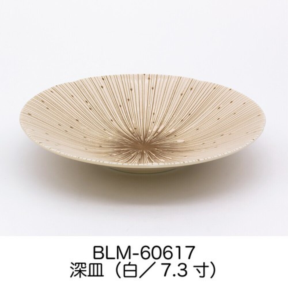 日本製 美濃燒 陶瓷餐盤 千段十草 陶瓷盤 碗盤 深盤 餐盤 菜盤 盤子 陶瓷盤子 沙拉盤