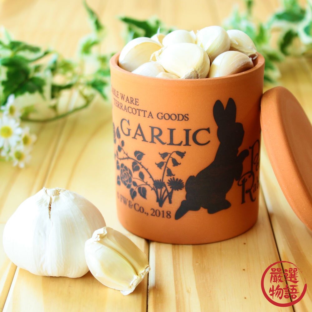 日本製 彼得兔陶罐 鹽罐 糖罐 大蒜罐 防潮 調味料 儲物罐 咖啡廳 廚房 陶器 兔子