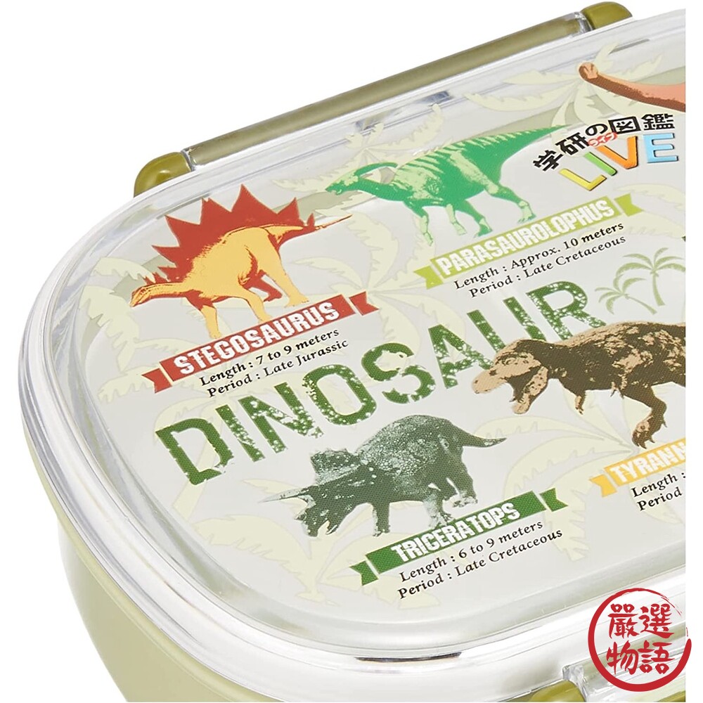 日本製 恐龍便當盒 兒童餐盒 上學餐具 便當盒 兒童便當盒 餐盒 恐龍餐具 兒童餐具 恐龍 保鮮盒-圖片-3