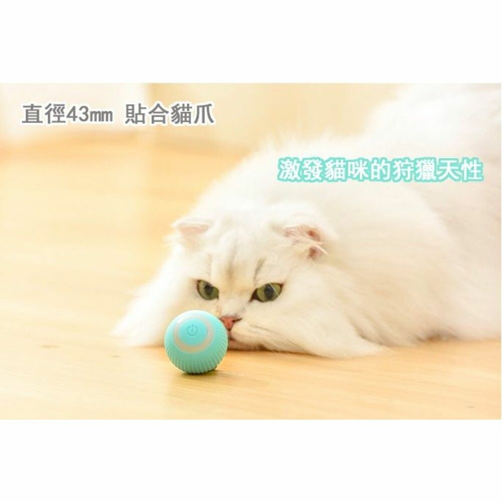 自動逗貓球 智能滾滾球 貓咪玩具 逗貓球 滾滾球 兩色可選 圖片