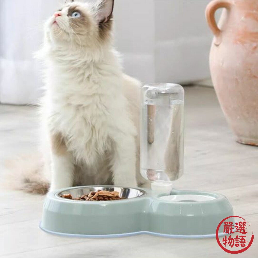 W023-寵物碗 喝水碗 飼料碗